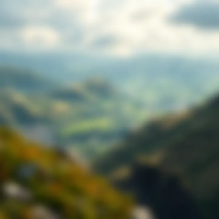 Visual of a diverse landscape impacted by climate change