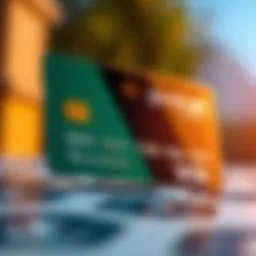 Prepaid debit card showcasing government benefit distribution