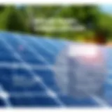 A detailed infographic showcasing the breakdown of solar panel costs