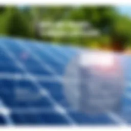 A detailed infographic showcasing the breakdown of solar panel costs